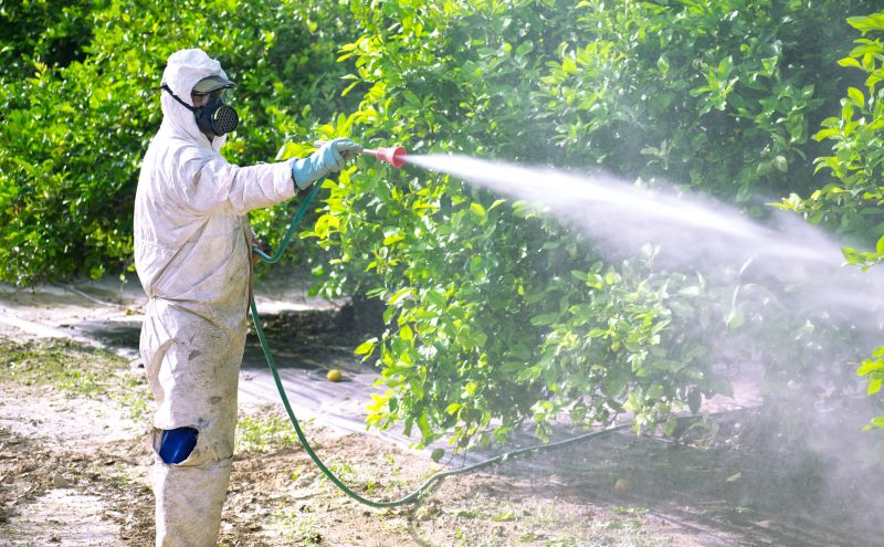 Residential Fumigation in Fort Collins, CO