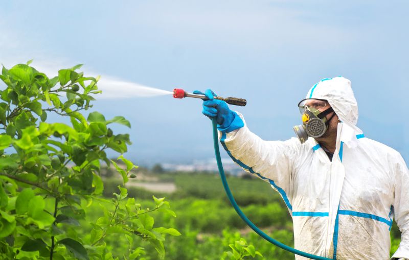 Residential Fumigation in Wilmington, NC