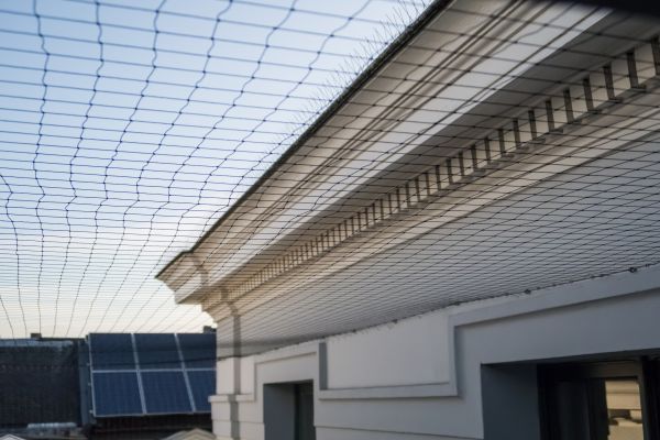 Bird Barrier Installation