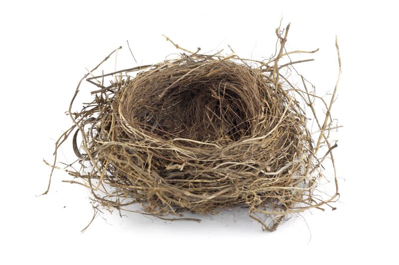 Nest Size and Material