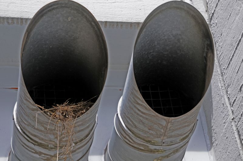 Bird Nest Removal Cost Guide — Cost of Bird Nest Removal
