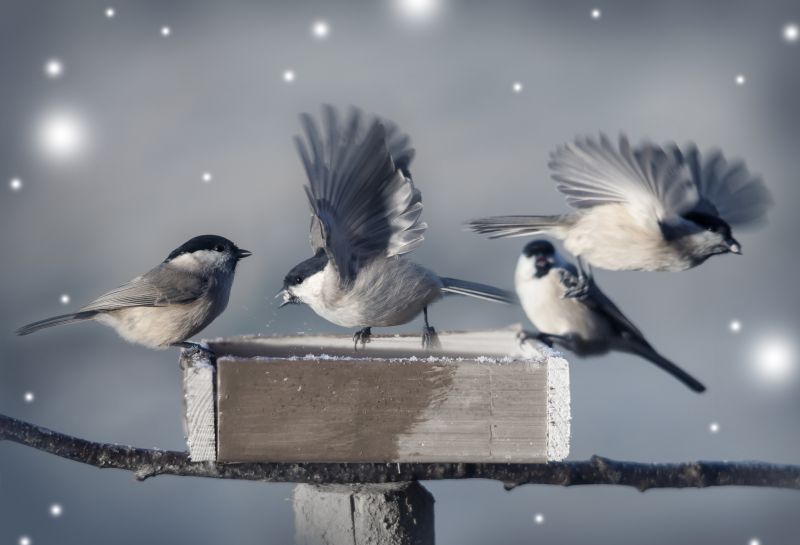 Environmental Consultants